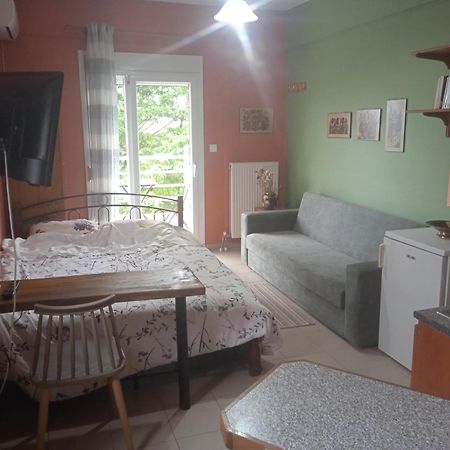 Apartament Marianna'S Studio Kozani Zewnętrze zdjęcie